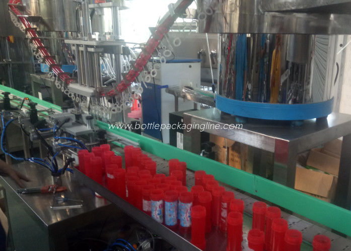 Customized Bottle Filling Line / Auto Liquid Filling Machine Oem Service